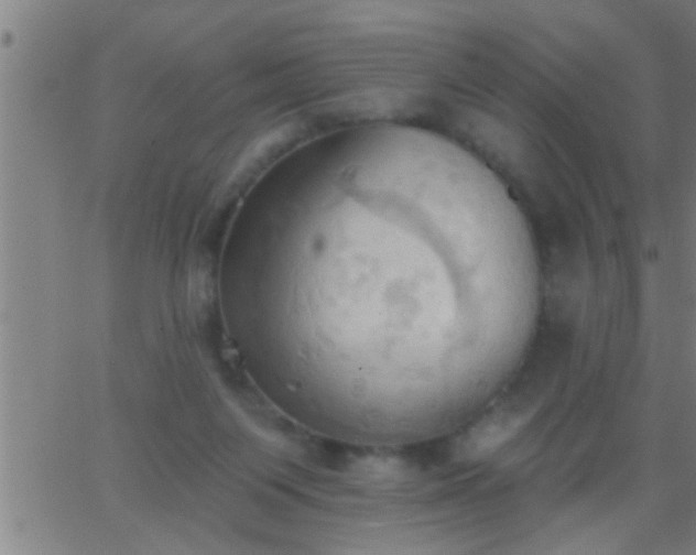 X0000062890119200601201855