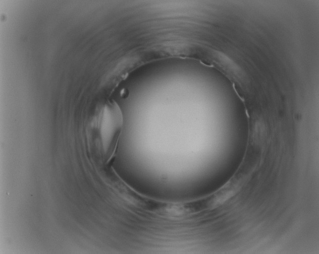 X0000062890121200601201855