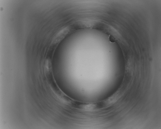 X0000062890122200601201855