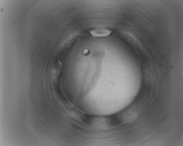 X0000062890123200601201855