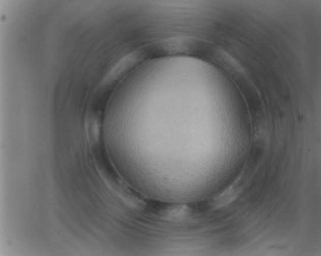 X0000062890124200601201855