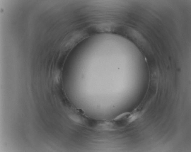 X0000062890125200601201855