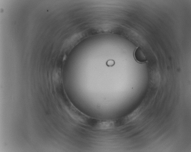 X0000062890126200601201855