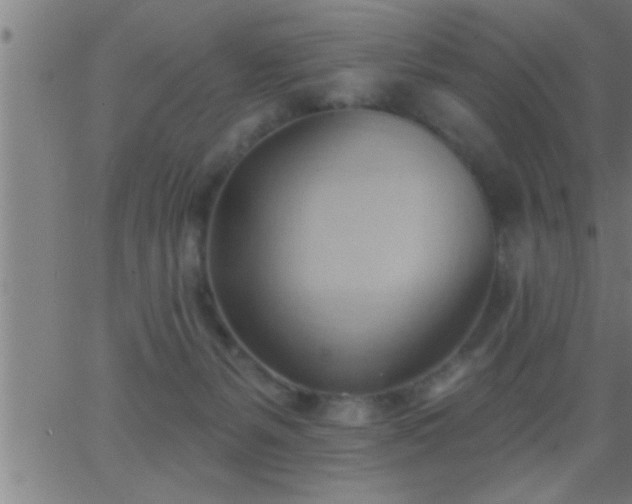 X0000062890127200601201855