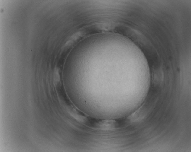 X0000062890128200601201855