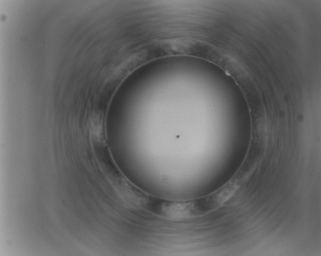 X0000062890129200601201855