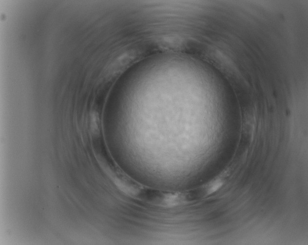 X0000062890130200601201855