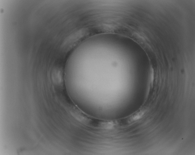 X0000062890131200601201855