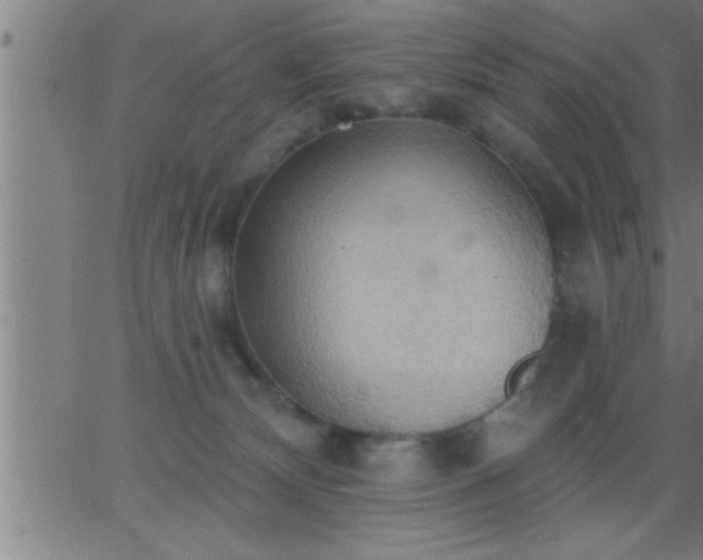 X0000062890132200601201855