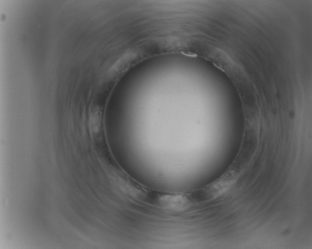 X0000062890133200601201855