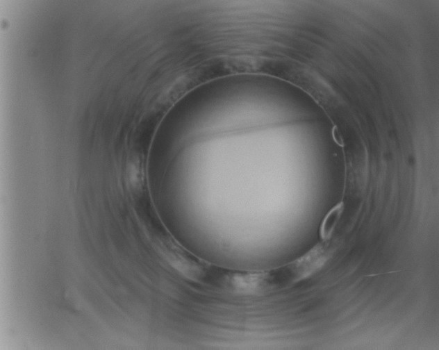 X0000062890134200601201855