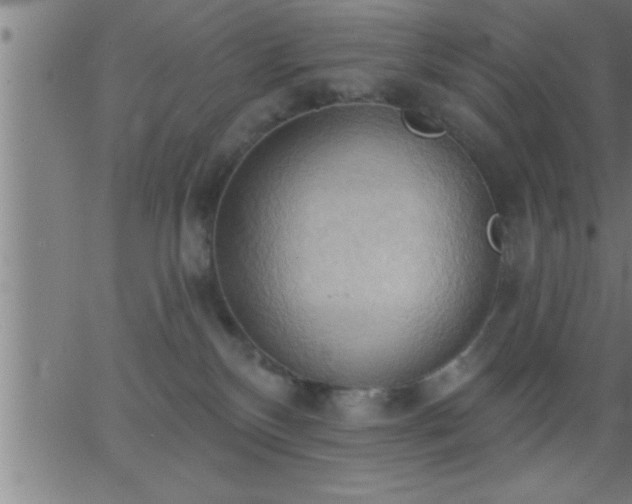 X0000062890136200601201855