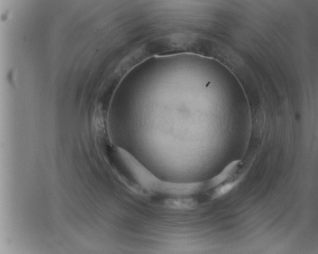 X0000062890137200601201855