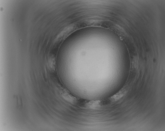 X0000062890138200601201855