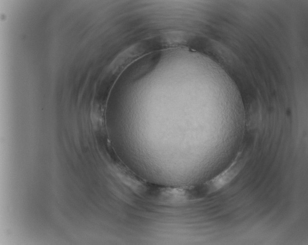 X0000062890140200601201855