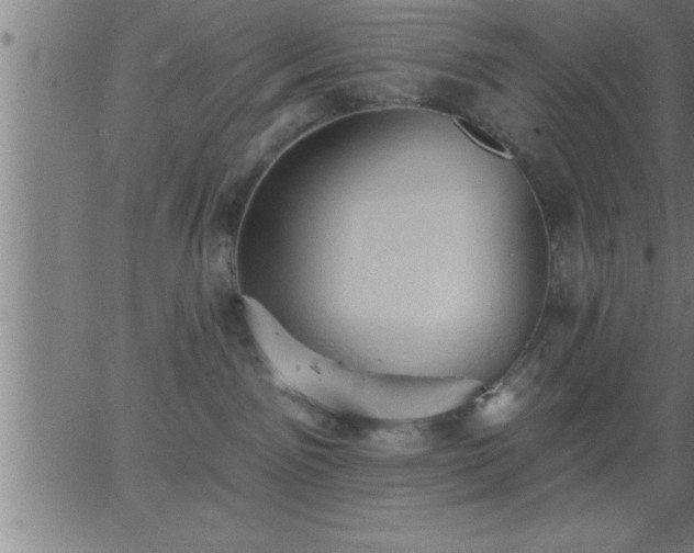 X0000062890141200601201855