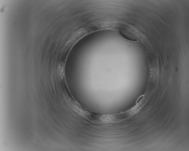 X0000062890142200601201855