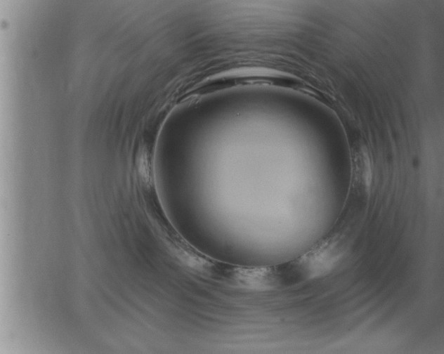 X0000062890143200601201855