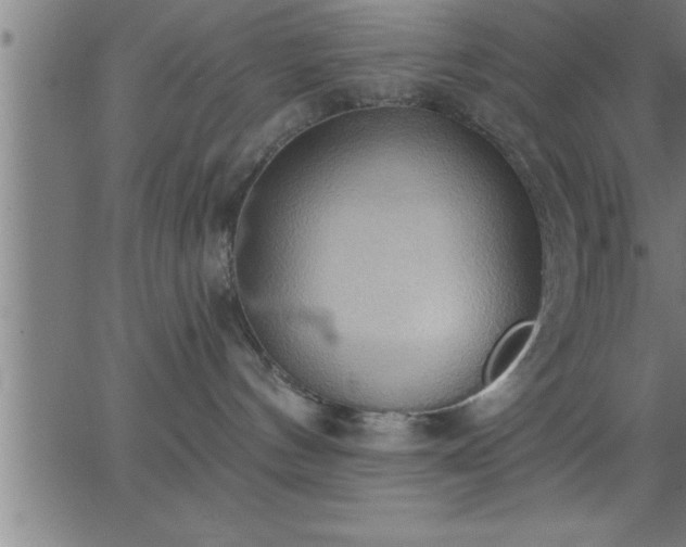 X0000062890144200601201855