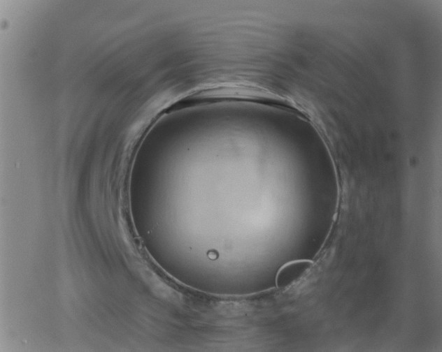 X0000062890145200601201854