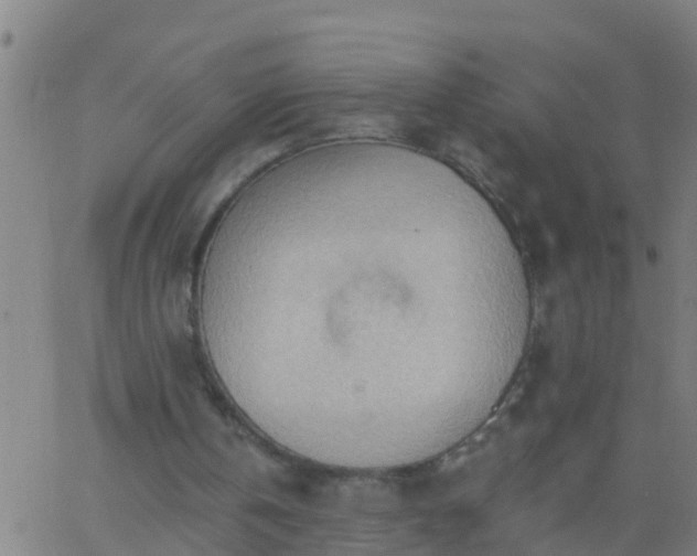 X0000062890146200601201854