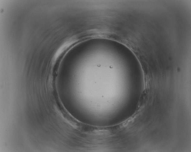 X0000062890150200601201854