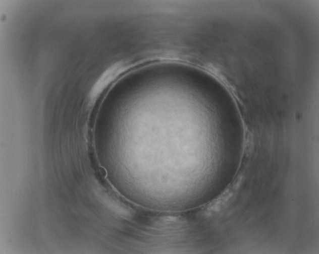 X0000062890151200601201854