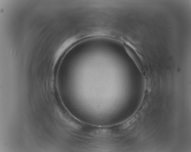 X0000062890152200601201854