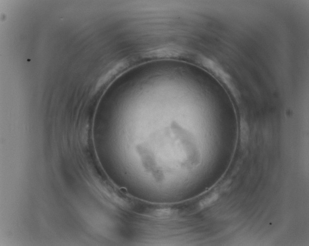 X0000062890153200601201854