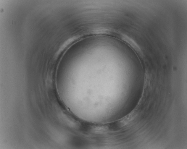 X0000062890155200601201854