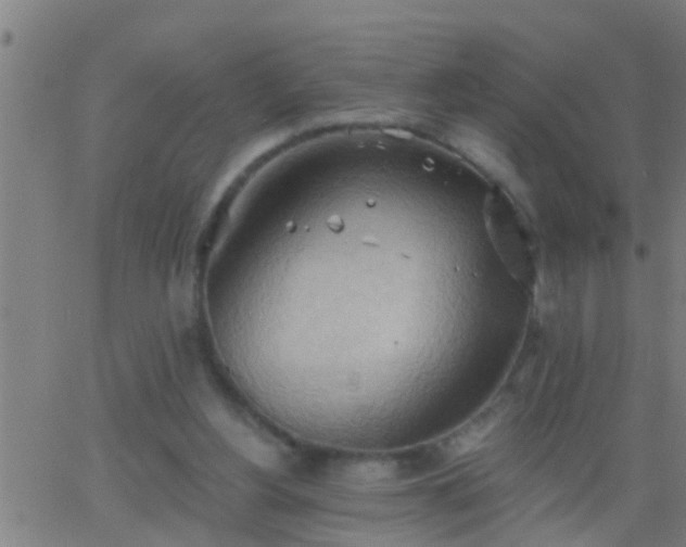 X0000062890156200601201854