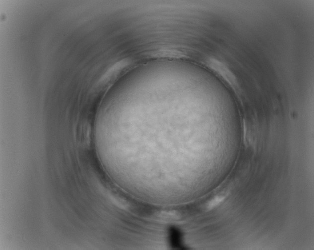 X0000062890157200601201854