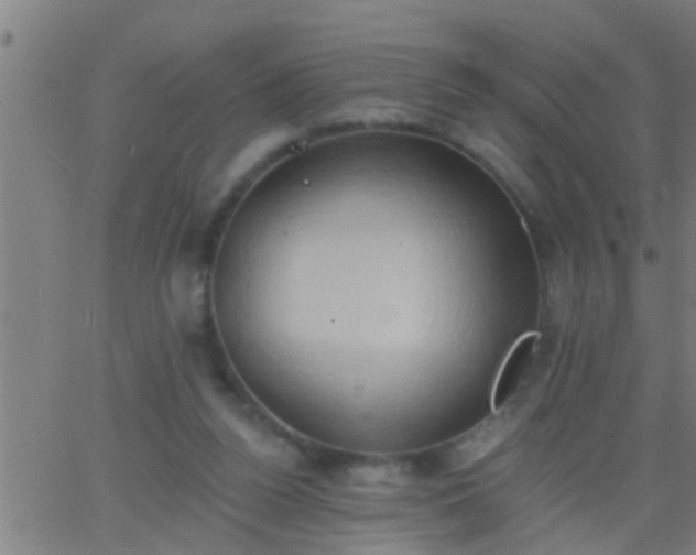 X0000062890160200601201854