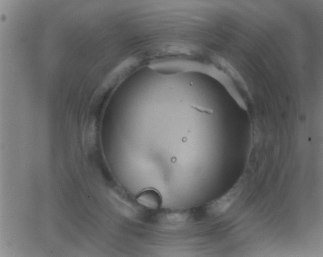 X0000062890163200601201854