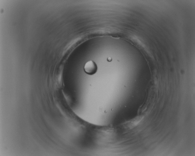 X0000062890164200601201854