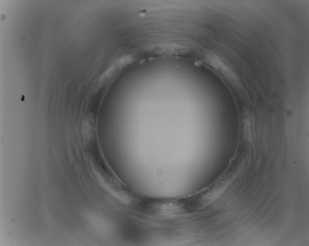 X0000062890165200601201854