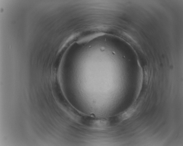 X0000062890168200601201855