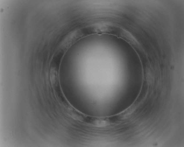 X0000062890169200601201855