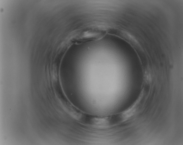 X0000062890170200601201855