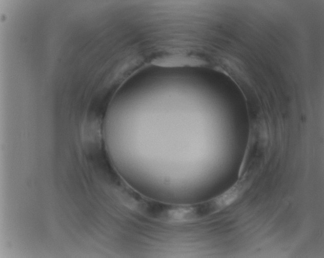 X0000062890172200601201855