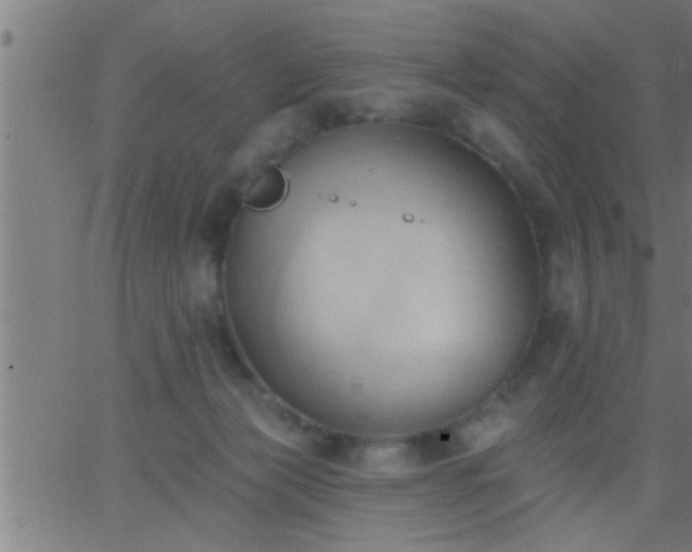 X0000062890173200601201855