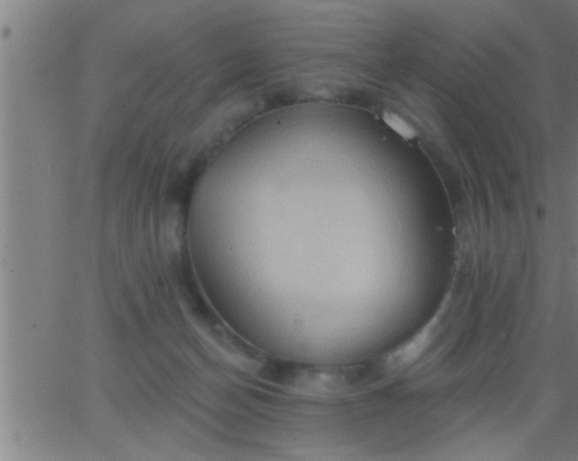 X0000062890174200601201855