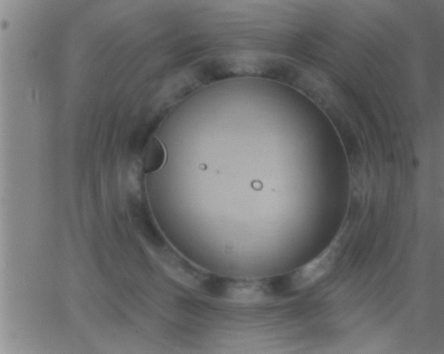 X0000062890175200601201855