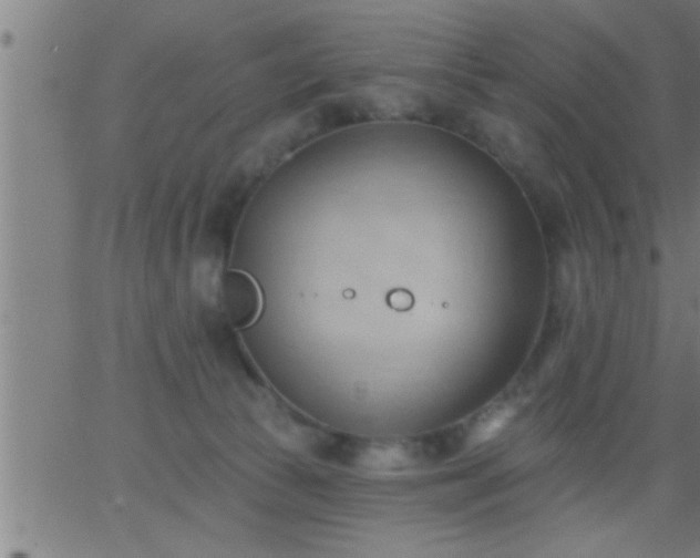 X0000062890177200601201855