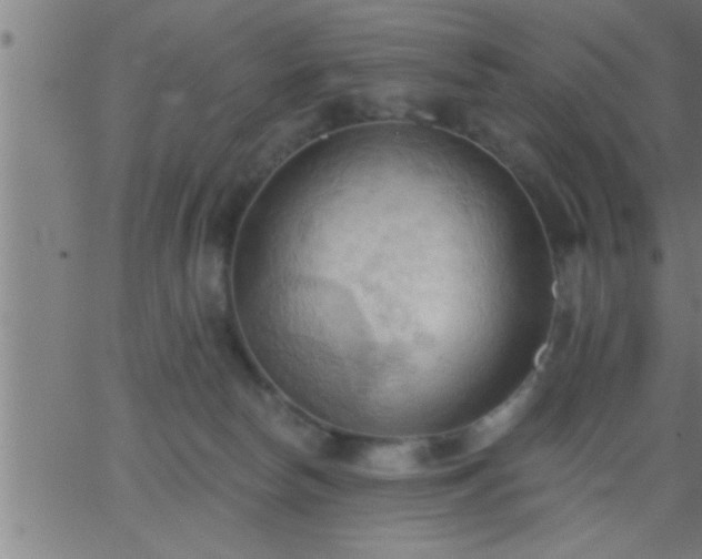 X0000062890178200601201855