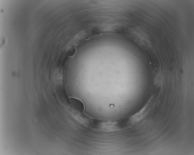 X0000062890179200601201855