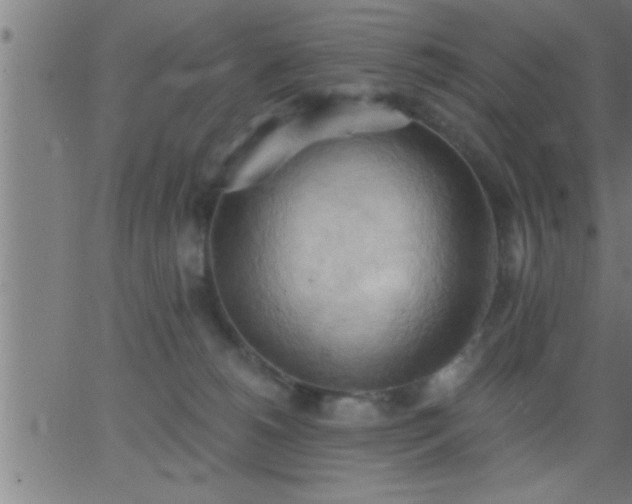 X0000062890180200601201855