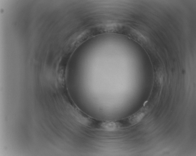 X0000062890181200601201855