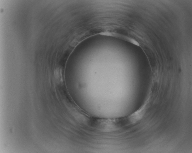 X0000062890182200601201855