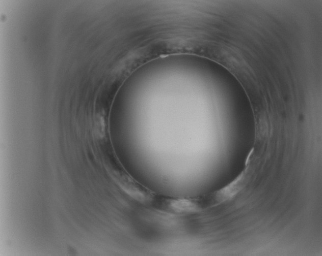 X0000062890183200601201855